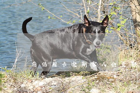 前信用卡逾期家人会受影响 前信用卡逾期家人会受影响