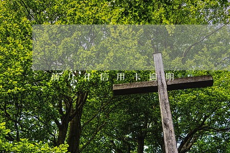 前几年信用卡逾期