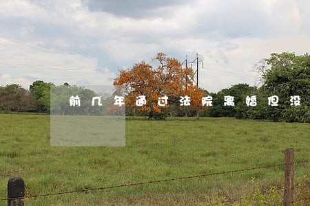 前几年通过法院离婚但没有 前几年通过法院离婚但没有