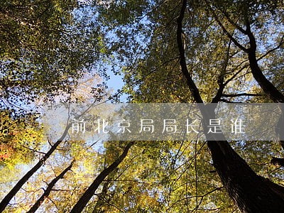 前北京局局长是谁 前北京局局长是谁