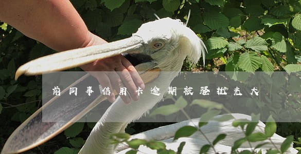 前同事信用卡逾期被骚扰光大