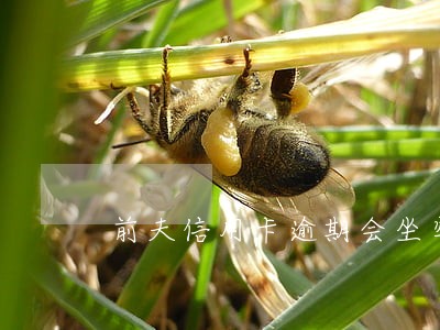 前夫信用卡逾期会坐牢吗