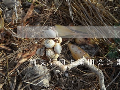 前夫信用卡逾期会连累孩子 前夫信用卡逾期会连累孩子