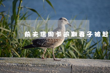 前夫信用卡逾期妻子被起诉 前夫信用卡逾期妻子被起诉