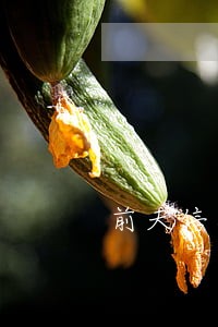 前夫信用卡逾期打电话 前夫信用卡逾期打电话