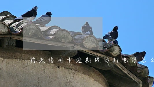前夫信用卡逾期银行打电话怎么办 前夫信用卡逾期银行打电话怎么办