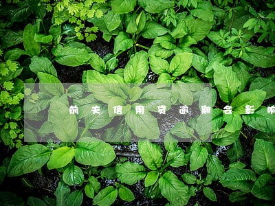 前夫信用贷逾期会影响我吗 前夫信用贷逾期会影响我吗