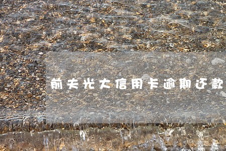 前夫光大信用卡逾期还款 前夫光大信用卡逾期还款