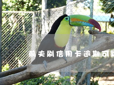 前夫刷信用卡逾期可以转债吗 前夫刷信用卡逾期可以转债吗