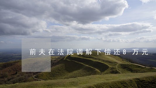 前夫在法院调解下偿还8万元 前夫在法院调解下偿还8万元