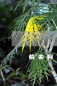 前夫网贷逾期会查封前妻财产吗 前夫网贷逾期会查封前妻财产吗
