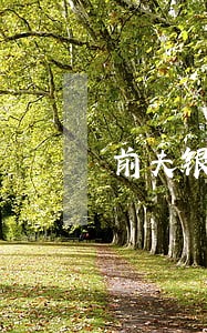前夫银行信用卡逾期