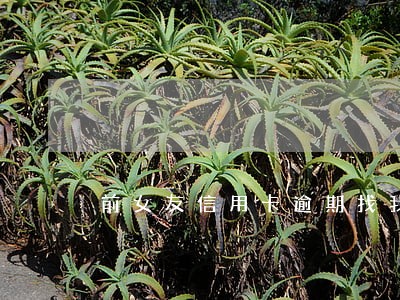 前女友信用卡逾期找我借钱 前女友信用卡逾期找我借钱