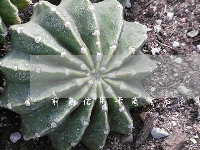 前妻信用卡离婚后逾期不还