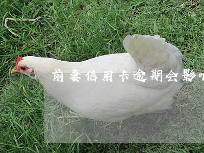 前妻信用卡逾期会影响到孩子吗 前妻信用卡逾期会影响到孩子吗