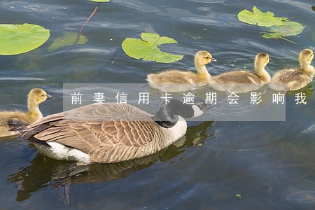 前妻信用卡逾期会影响我吗