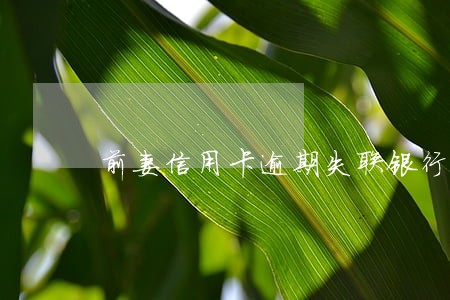 前妻信用卡逾期失联银行骚扰我 前妻信用卡逾期失联银行骚扰我