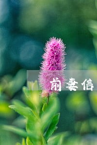 前妻信用卡逾期银行追债 前妻信用卡逾期银行追债