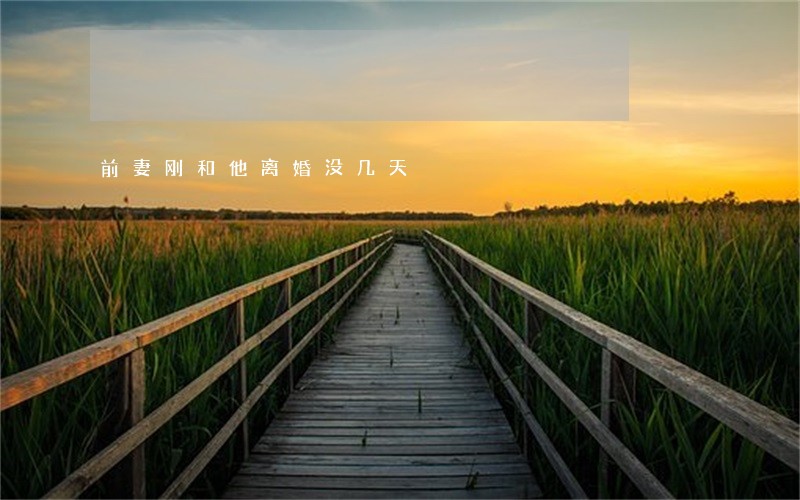 前妻刚和他离婚没几天 前妻刚和他离婚没几天