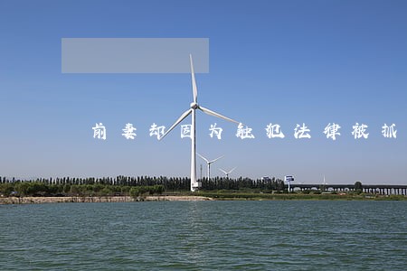 前妻却因为触犯法律被抓了 前妻却因为触犯法律被抓了