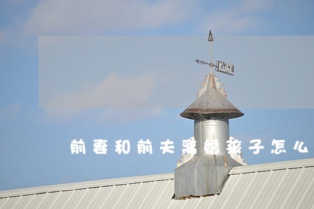 前妻和前夫离婚孩子怎么分 前妻和前夫离婚孩子怎么分