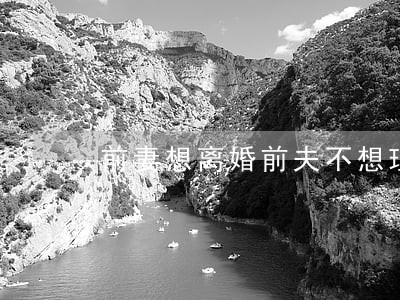 前妻想离婚前夫不想理她 前妻想离婚前夫不想理她