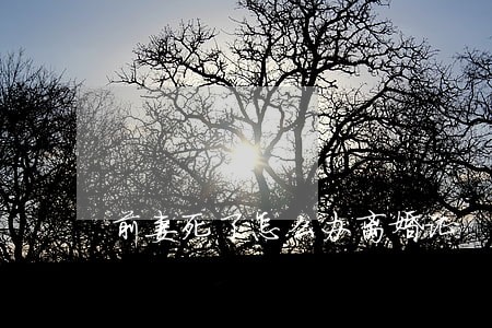 前妻死了怎么办离婚证 前妻死了怎么办离婚证