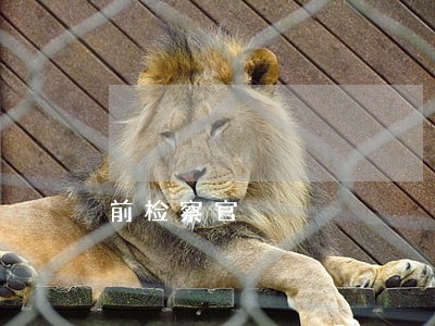 前检察官 前检察官