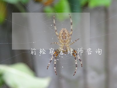 前检察官律师咨询 前检察官律师咨询