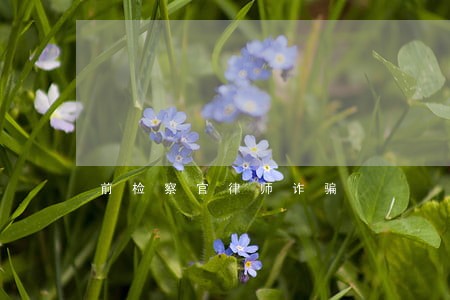前检察官律师诈骗 前检察官律师诈骗
