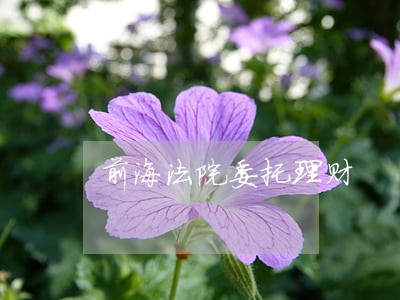 前海法院委托理财 前海法院委托理财