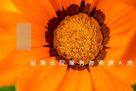 前海法院服务粤港澳大湾区