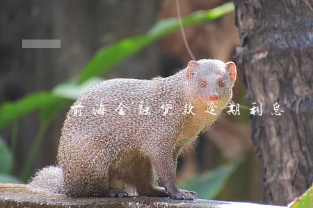 前海金融贷款逾期利息 前海金融贷款逾期利息