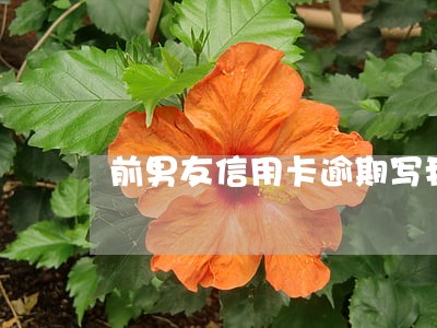 前男友信用卡逾期写我是配偶 前男友信用卡逾期写我是配偶