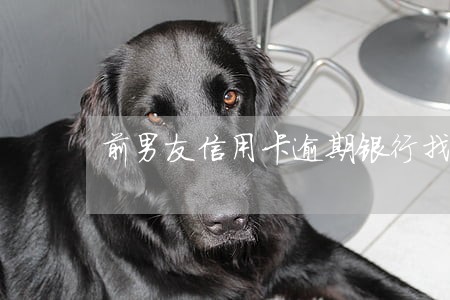 前男友信用卡逾期银行找我