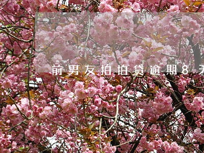 前男友拍拍贷逾期8天 前男友拍拍贷逾期8天