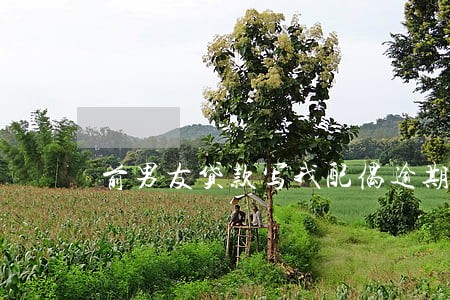 前男友贷款写我配偶逾期 前男友贷款写我配偶逾期
