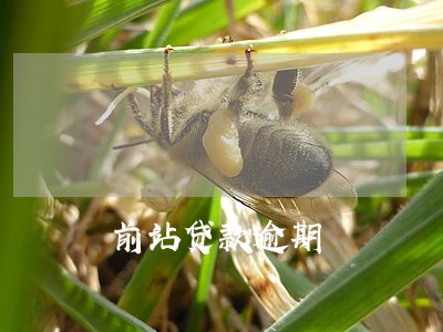 前站贷款逾期 前站贷款逾期