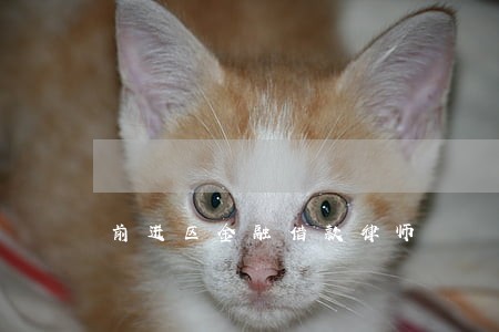 前进区金融借款律师 前进区金融借款律师