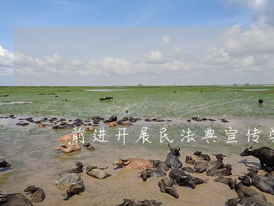 前进开展民法典宣传学习 前进开展民法典宣传学习