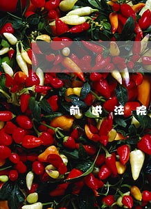 前进法院走进养老中心举办 前进法院走进养老中心举办