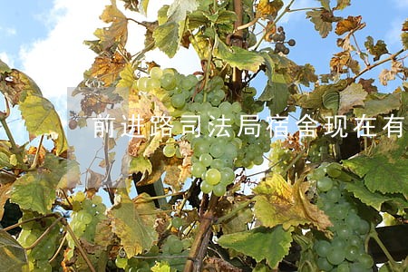 前进路司法局宿舍现在有房源吗 前进路司法局宿舍现在有房源吗
