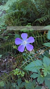 前郭县查干湖镇司法所 前郭县查干湖镇司法所