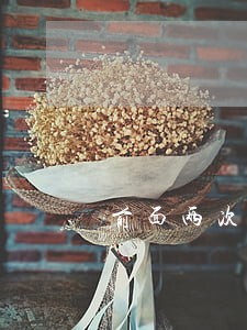 前面两次都被驳回诉讼