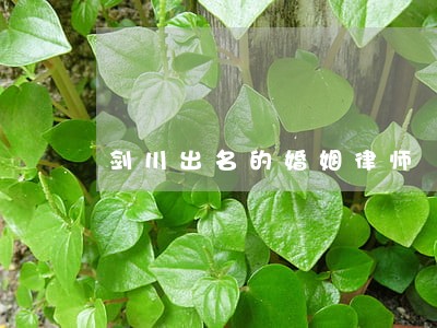 剑川出名的婚姻律师 剑川出名的婚姻律师