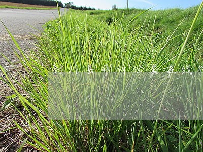 剑川县非诉讼类在线律师