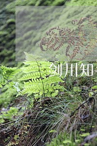 剑川知名的债务纠纷律师 剑川知名的债务纠纷律师