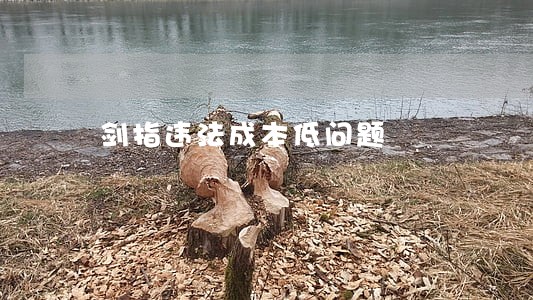 剑指违法成本低问题