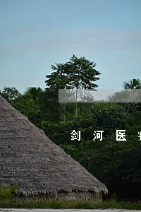 剑河医疗维权律师