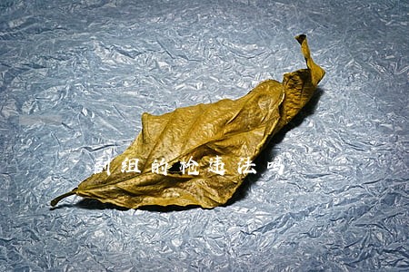 剧组的枪违法吗 剧组的枪违法吗